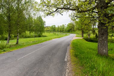 Kırsalda boş bir yol