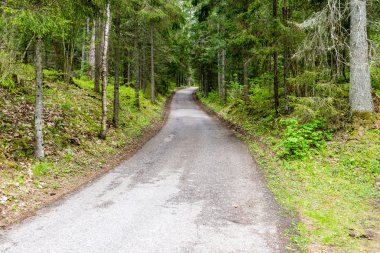 Kırsalda boş bir yol