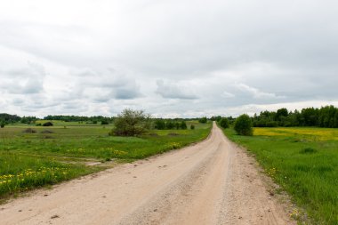 Kırsalda boş bir yol