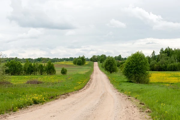 Strada vuota in campagna — Foto Stock