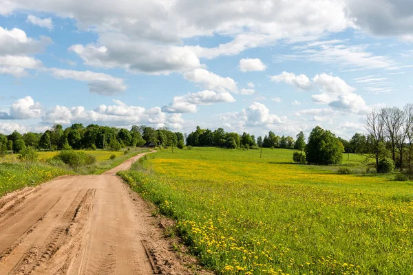 Empty road in the countryside — Stock Photo, Image