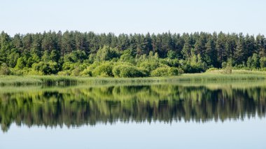 Sakin göl kenarında simetrik yansımalar