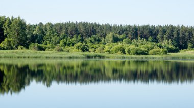Sakin göl kenarında simetrik yansımalar