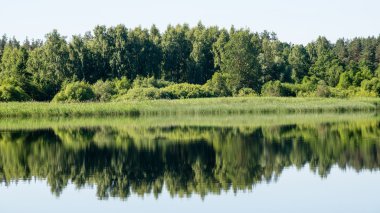 Sakin göl kenarında simetrik yansımalar