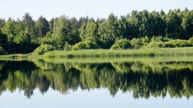 Sakin göl kenarında simetrik yansımalar