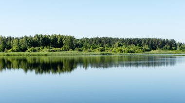 Sakin göl kenarında simetrik yansımalar