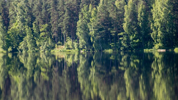 Réflexions symétriques sur le lac calme — Photo