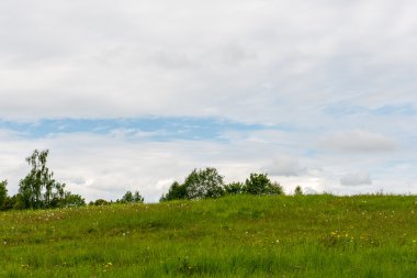 Yaz aylarında mavi gökyüzü altında güzel yeşil alanlar