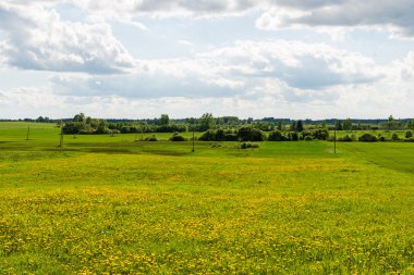 Yaz aylarında mavi gökyüzü altında güzel yeşil alanlar