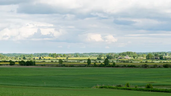 Prachtige groene velden onder blauwe hemel in de zomer — Stockfoto