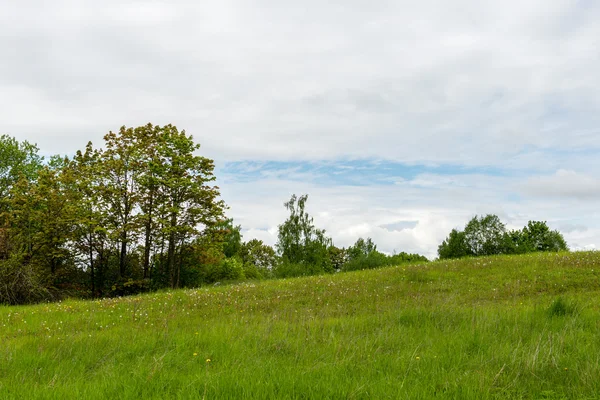 Piękne zielone pola pod błękitne niebo latem — Zdjęcie stockowe