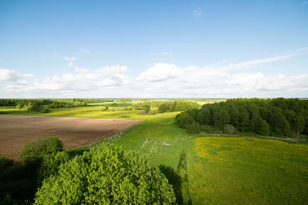 Country roads in perspective from above — Stock Photo, Image