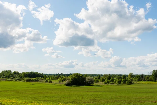 여름에 푸른 하늘 아래 아름 다운 초원 — 스톡 사진