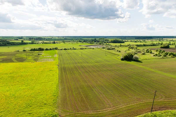 Beautiful green fields under blue sky in summer — Stock Photo, Image