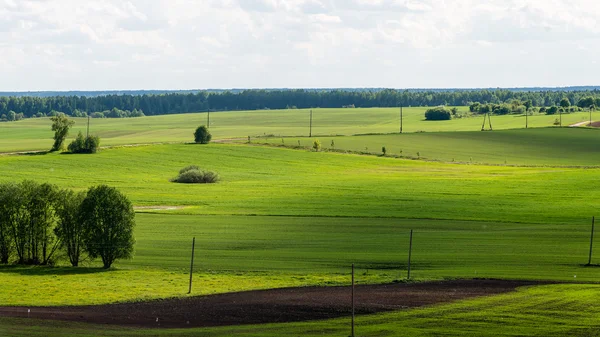 Dróg w perspektywie z góry — Zdjęcie stockowe