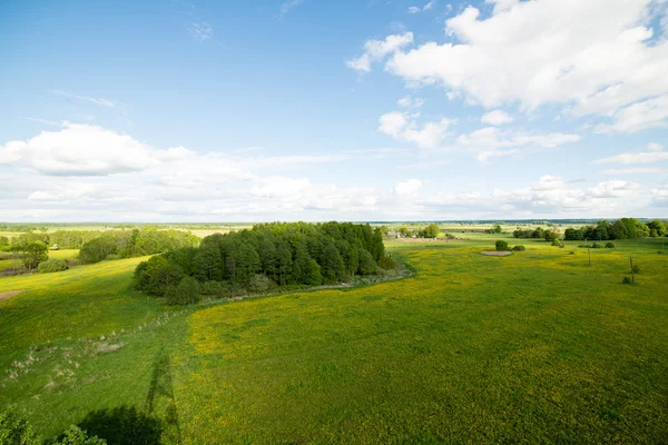 Beautiful green fields under blue sky in summer Stock Photo