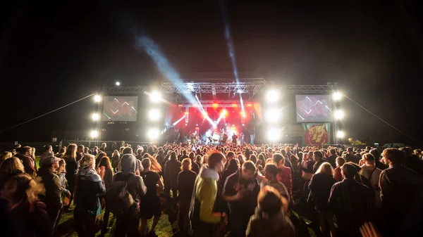 Salacgriva, Letonya, Uluslararası Müzik Festivali Labadaba, Temmuz — Stok fotoğraf