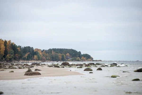 Höstens klippstrand med vågorna kraschar på klipporna — Stockfoto