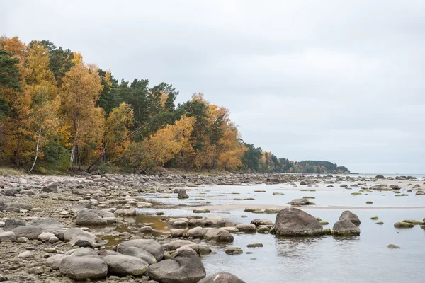 Felsiger Herbststrand mit Wellen, die auf die Felsen krachen — Stockfoto