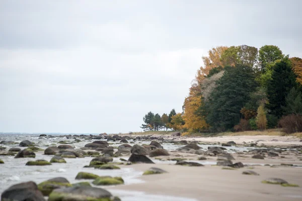 Rocky autumn beach with waves crashing on the rocks — Stock Photo, Image