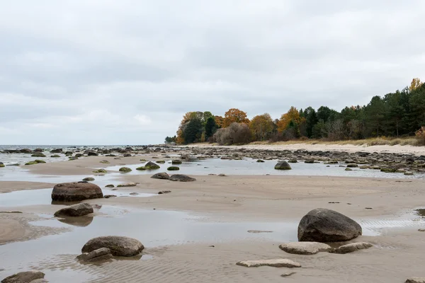 Felsiger Herbststrand mit Wellen, die auf die Felsen krachen — Stockfoto