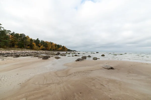 Höstens klippstrand med vågorna kraschar på klipporna — Stockfoto