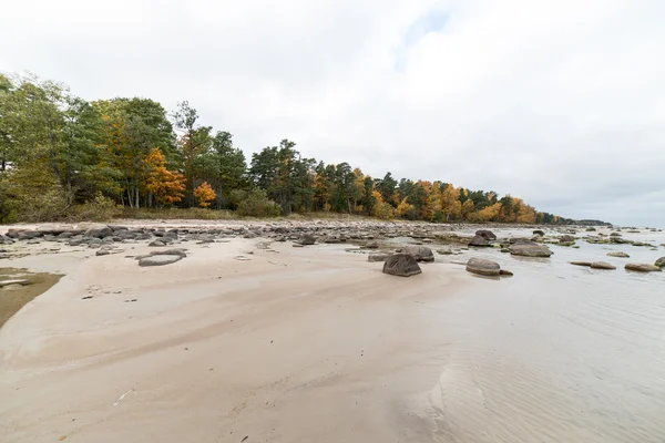 Скелястий осінній пляж з хвилями розбився на скелях — стокове фото