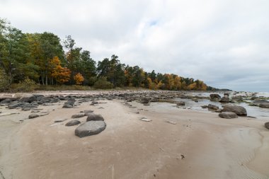 Kayalık sonbahar plaj dalgalar kayalar çökmesini ile