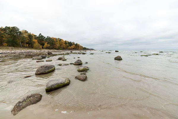 Podzimní pláže s vlny zřítilo na skalách — Stock fotografie