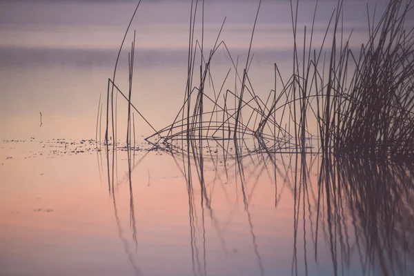 Туманное утро на деревенском озере - старинный эффект — стоковое фото