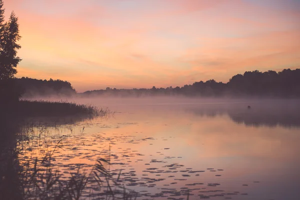 Foggy matin sur le lac de campagne - effet vintage — Photo
