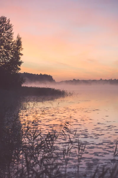 Foggy matin sur le lac de campagne - effet vintage — Photo