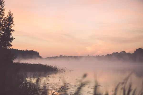 Niewyraźne wody trawa na mglisty poranek - vintage efekt — Zdjęcie stockowe