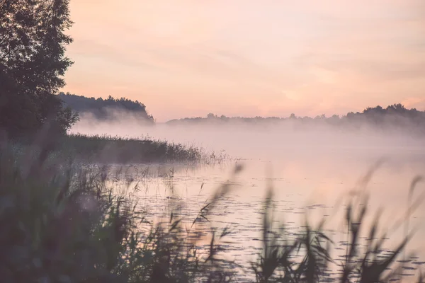 Niewyraźne wody trawa na mglisty poranek - vintage efekt — Zdjęcie stockowe