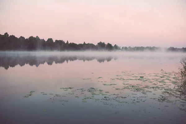 Mañana brumosa en el lago del campo - efecto vintage — Foto de Stock