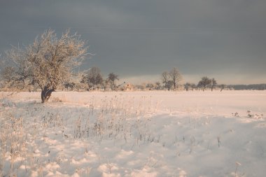 kış soğuk sabah - vintage etkisi üzerinde sisli ülke alanları 