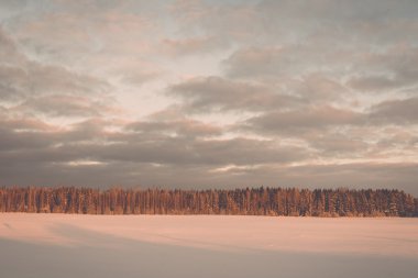 kış soğuk sabah - vintage etkisi üzerinde sisli ülke alanları 