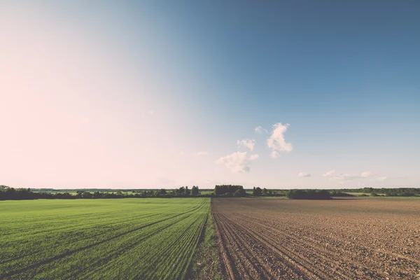 Campo cultivado y cielo azul con sol - efecto vintage — Foto de Stock