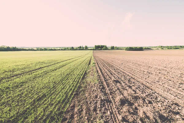 Campo cultivado y cielo azul con sol - efecto vintage — Foto de Stock