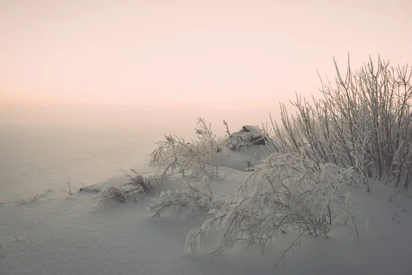 Campos de campo de niebla en invierno en la mañana fría - efecto vintage —  Fotos de Stock