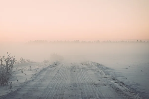 Campos de campo de niebla en invierno en la mañana fría - efecto vintage —  Fotos de Stock