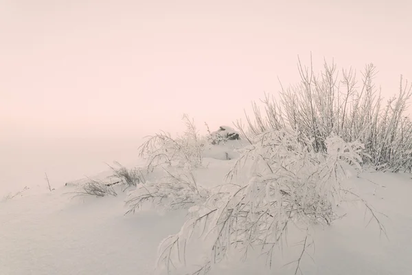 Mlhavé země pole v zimě na chladné ráno - vintage efekt — Stock fotografie