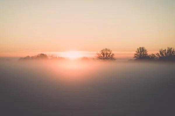 Télen a hideg reggel - vintage hatást ködös ország mezők — Stock Fotó