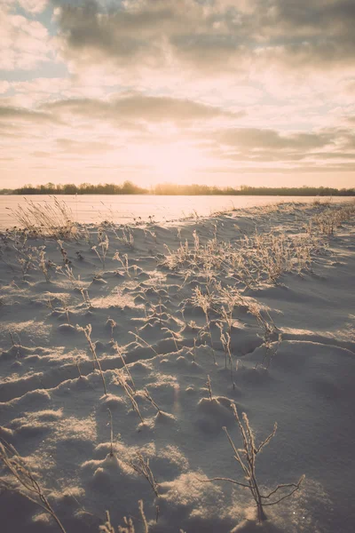 寒い朝 - ヴィンテージ効果に冬の霧の国フィールド — ストック写真