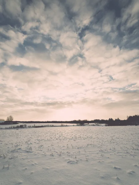 Campi di campagna nebbiosi in inverno la mattina fredda - effetto vintage — Foto Stock