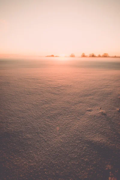 Campi di campagna nebbiosi in inverno la mattina fredda - effetto vintage — Foto Stock