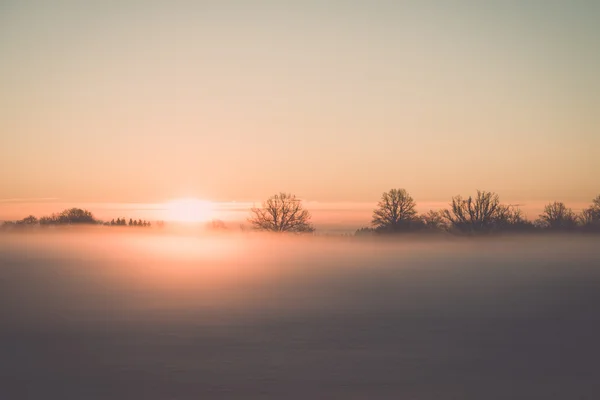 Foggy country fields in winter on cold morning - vintage effect — Stock Photo, Image