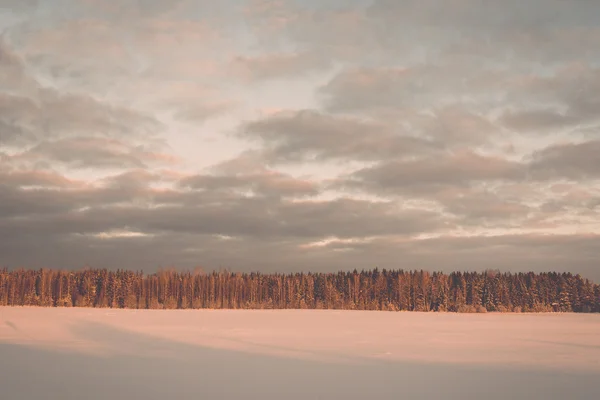 Mglisty kraj pól w zimie na zimny poranek - efekt vintage — Zdjęcie stockowe