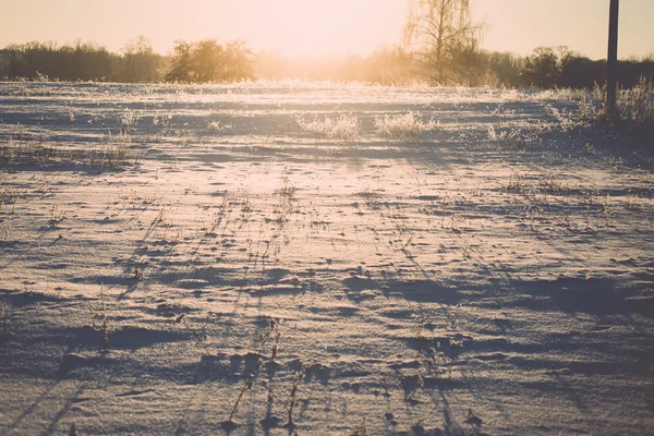 Ramo in brina gelo all'alba fredda mattina effetto vintage a — Foto Stock