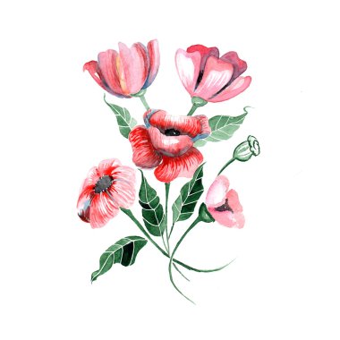 suluboya çiçek - yaprak ile kırmızı poppies - vektör çizim
